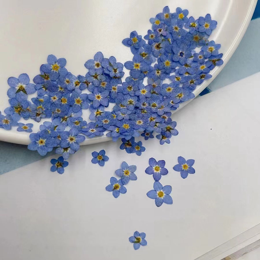 60 шт. миниатюрных сухоцветов  – обзор и цена Resin Art Case