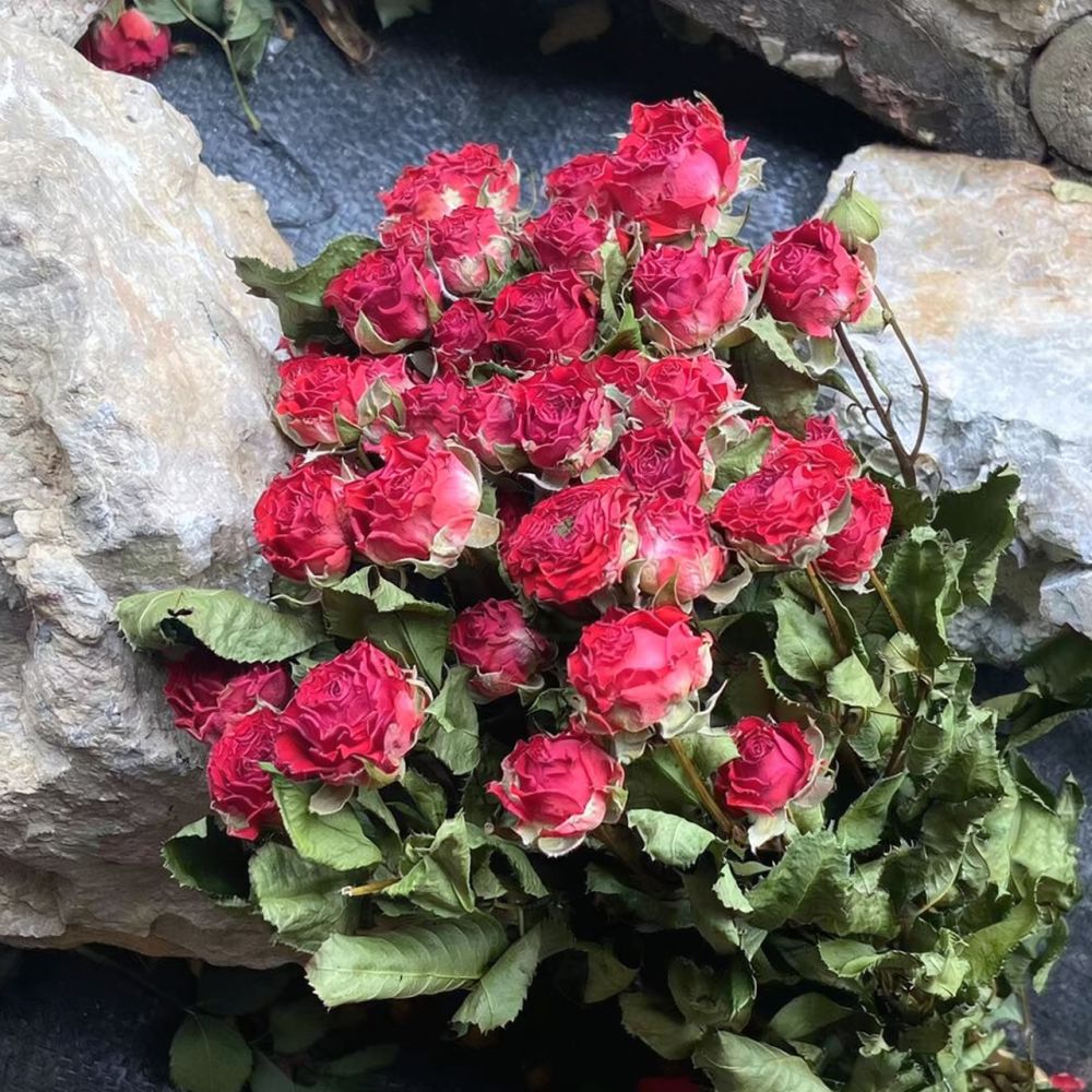 Натуральный букет из сухих роз – обзор и цена Resin Art Rose